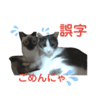 凛ちゃんなの②仲間もいるなの（個別スタンプ：12）