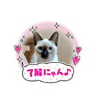 凛ちゃんなの②仲間もいるなの（個別スタンプ：28）