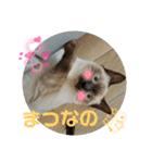 凛ちゃんなの②仲間もいるなの（個別スタンプ：29）