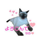 凛ちゃんなの②仲間もいるなの（個別スタンプ：31）