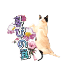 推し猫スタンプ(あつべえ)（個別スタンプ：3）