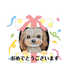 夏バーゲン犬（個別スタンプ：7）