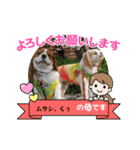 夏バーゲン犬（個別スタンプ：12）