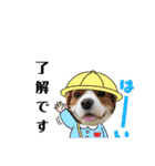 夏バーゲン犬（個別スタンプ：21）