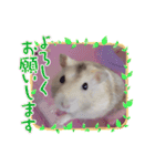 プクプク2（個別スタンプ：8）