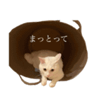 かぶち その3（個別スタンプ：15）