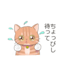 猫ちゃん's静岡弁（個別スタンプ：2）