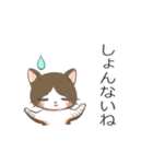 猫ちゃん's静岡弁（個別スタンプ：20）