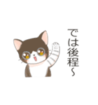 猫ちゃん's静岡弁（個別スタンプ：21）