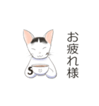 猫ちゃん's静岡弁（個別スタンプ：25）