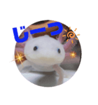 ウーパーもちこと一緒 5（個別スタンプ：8）