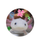 ウーパーもちこと一緒 5（個別スタンプ：15）