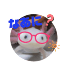 ウーパーもちこと一緒 5（個別スタンプ：16）