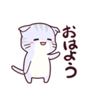 たれみみのねこちゃん（個別スタンプ：1）