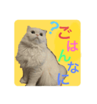 しーまとらんすたんぷ part1（個別スタンプ：1）
