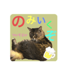 しーまとらんすたんぷ part1（個別スタンプ：6）