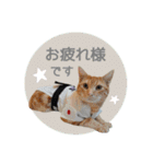 マーブル＆ミント2（個別スタンプ：10）