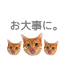 マーブル＆ミント2（個別スタンプ：11）