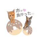 マーブル＆ミント2（個別スタンプ：14）
