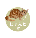 マーブル＆ミント2（個別スタンプ：15）