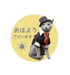 マーブル＆ミント2（個別スタンプ：17）
