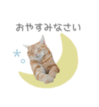 マーブル＆ミント2（個別スタンプ：18）