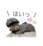 マーブル＆ミント2（個別スタンプ：31）