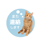 マーブル＆ミント2（個別スタンプ：32）