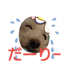 ももちゃんトイプードル（個別スタンプ：6）