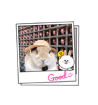 うさぎの瑠美ちゃん（個別スタンプ：2）
