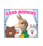 うさぎの瑠美ちゃん（個別スタンプ：5）