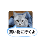 レオとソラのスタンプ 2（個別スタンプ：3）