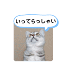 レオとソラのスタンプ 2（個別スタンプ：22）