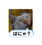 レオとソラのスタンプ 2（個別スタンプ：30）