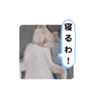 レオとソラのスタンプ 2（個別スタンプ：31）