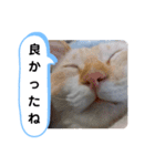 レオとソラのスタンプ 2（個別スタンプ：40）
