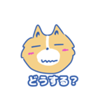 ワンでこんにちわん（個別スタンプ：16）