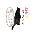 冨樫くろの方言スタンプ:庄内弁（個別スタンプ：7）