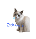 らぐどーーーる（個別スタンプ：4）