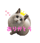 らぐどーーーる（個別スタンプ：5）