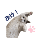 らぐどーーーる（個別スタンプ：6）