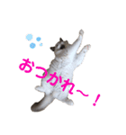 らぐどーーーる（個別スタンプ：8）