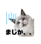 らぐどーーーる（個別スタンプ：17）