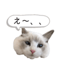 らぐどーーーる（個別スタンプ：19）