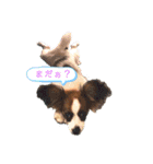 テトとテラとその仲間たち（個別スタンプ：28）
