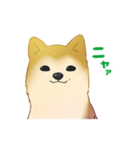 ΩもちおΩ（個別スタンプ：2）
