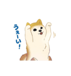 ΩもちおΩ（個別スタンプ：5）