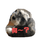 ミニシュナ ＊アルアルの毎日②（個別スタンプ：9）