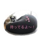 ミニシュナ ＊アルアルの毎日②（個別スタンプ：18）