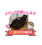 猫のキャベツ君スタンプ 夏（個別スタンプ：3）